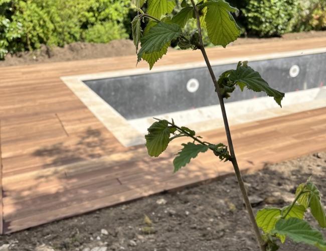 Pourquoi Choisir une Terrasse en Bois avec Woodpecker en Val-de-Marne ?